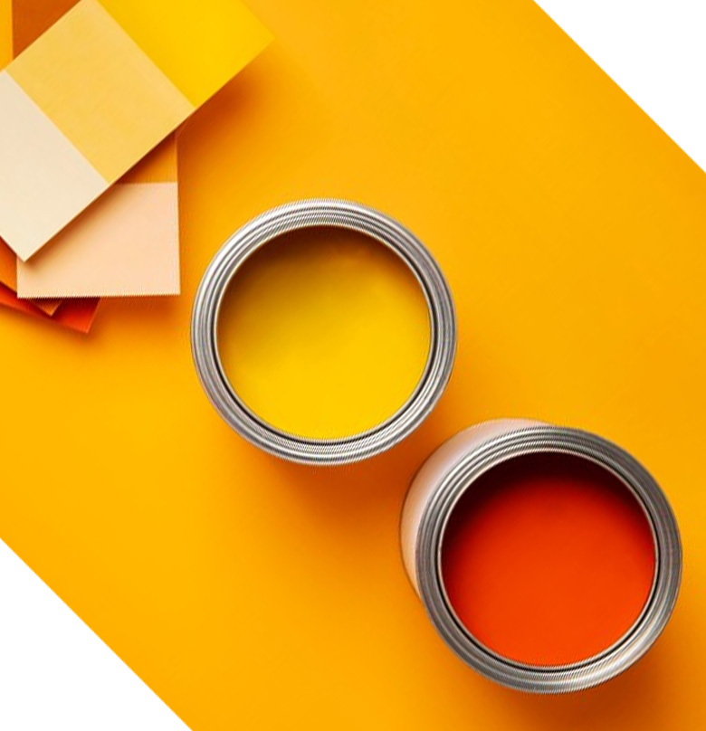 CHEMICALS FINA SRL